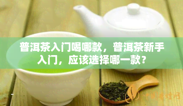 普洱茶入门喝哪款，普洱茶新手入门，应该选择哪一款？