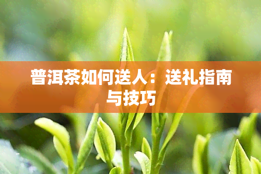 普洱茶如何送人：送礼指南与技巧