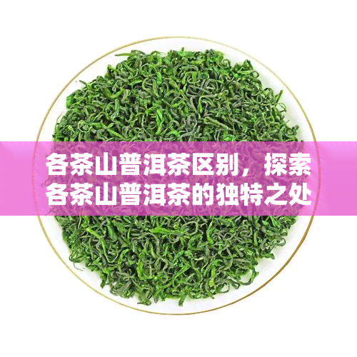 各茶山普洱茶区别，探索各茶山普洱茶的独特之处：一次味蕾的旅程