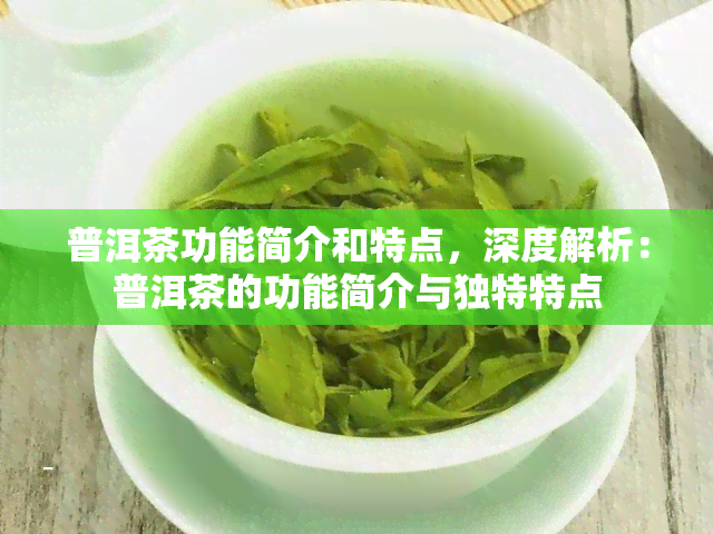 普洱茶功能简介和特点，深度解析：普洱茶的功能简介与独特特点