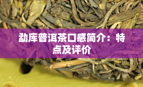 勐库普洱茶口感简介：特点及评价