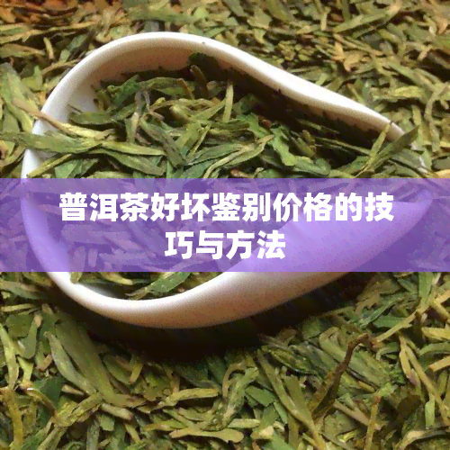 普洱茶好坏鉴别价格的技巧与方法