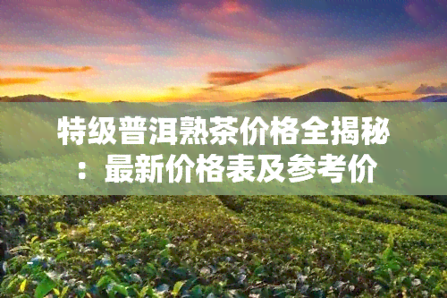 特级普洱熟茶价格全揭秘：最新价格表及参考价