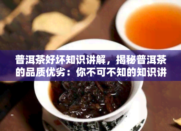 普洱茶好坏知识讲解，揭秘普洱茶的品质优劣：你不可不知的知识讲解