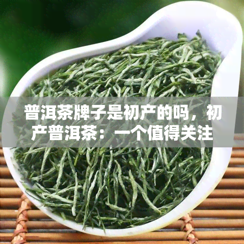 普洱茶牌子是初产的吗，初产普洱茶：一个值得关注的茶叶