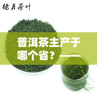 普洱茶主产于哪个省？——非压制的黑茶故乡