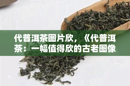 代普洱茶图片欣，《代普洱茶：一幅值得欣的古老图像》