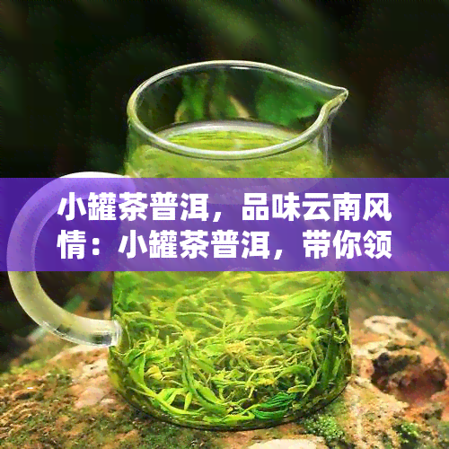 小罐茶普洱，品味云南风情：小罐茶普洱，带你领略独特的茶文化