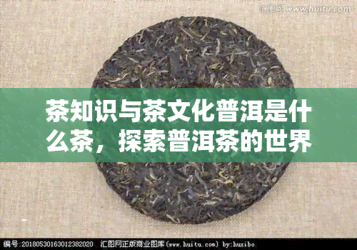 茶知识与茶文化普洱是什么茶，探索普洱茶的世界：茶知识与茶文化的深度解析