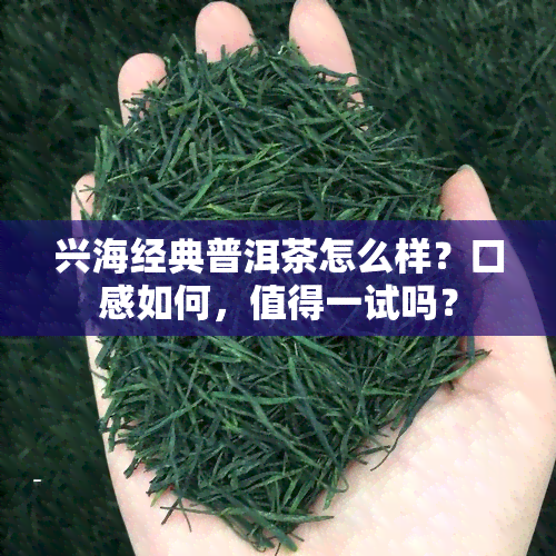 兴海经典普洱茶怎么样？口感如何，值得一试吗？