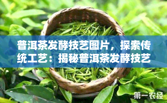 普洱茶发酵技艺图片，探索传统工艺：揭秘普洱茶发酵技艺的精彩瞬间