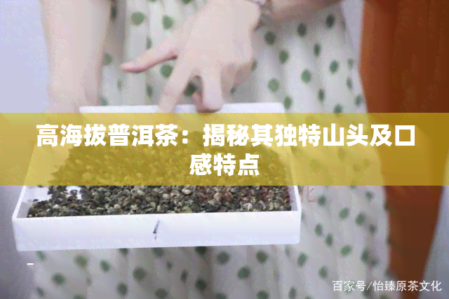 高海拔普洱茶：揭秘其独特山头及口感特点