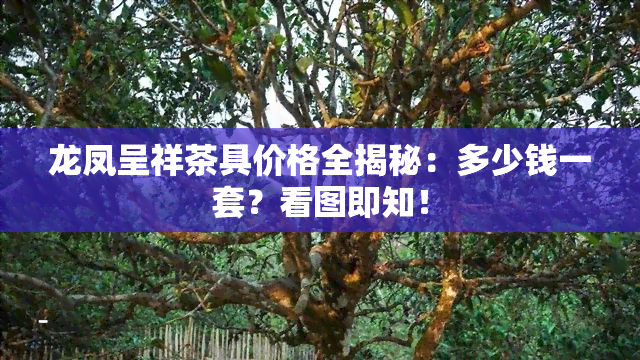 龙凤呈祥茶具价格全揭秘：多少钱一套？看图即知！