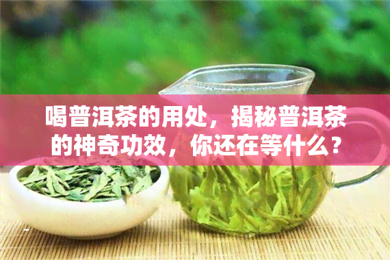 喝普洱茶的用处，揭秘普洱茶的神奇功效，你还在等什么？