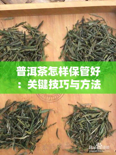 普洱茶怎样保管好：关键技巧与方法