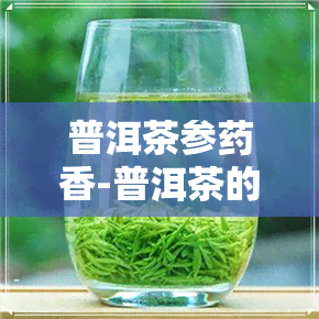 普洱茶参香-普洱茶的参香