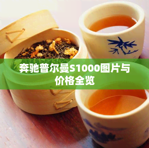 奔驰普尔曼S1000图片与价格全览