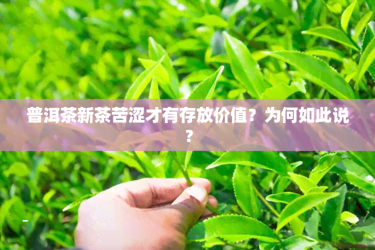 普洱茶新茶苦涩才有存放价值？为何如此说？