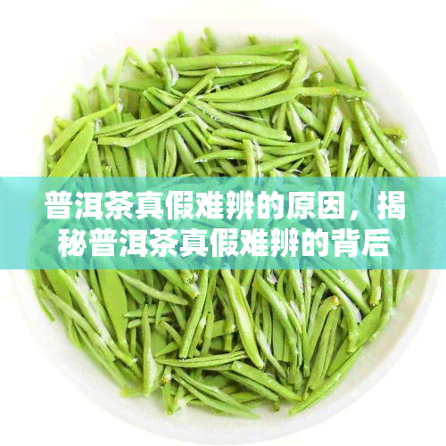 普洱茶真假难辨的原因，揭秘普洱茶真假难辨的背后原因