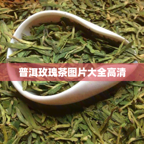 普洱玫瑰茶图片大全高清