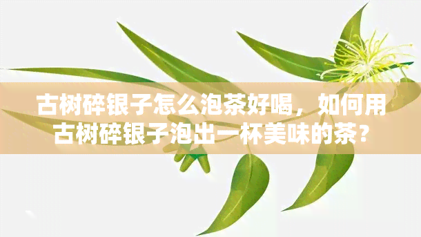 古树碎银子怎么泡茶好喝，如何用古树碎银子泡出一杯美味的茶？