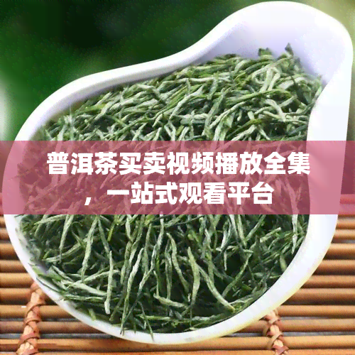 普洱茶买卖视频播放全集，一站式观看平台