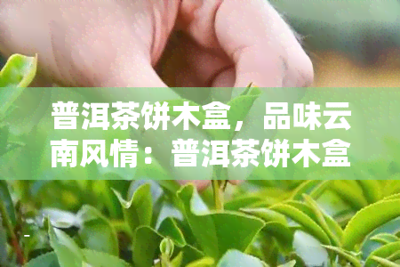 普洱茶饼木盒，品味云南风情：普洱茶饼木盒装，尽享地道茶叶美味！