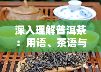 深入理解普洱茶：用语、茶语与语言全解析