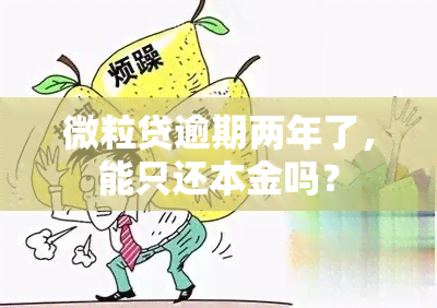 微粒贷逾期两年了，能只还本金吗？