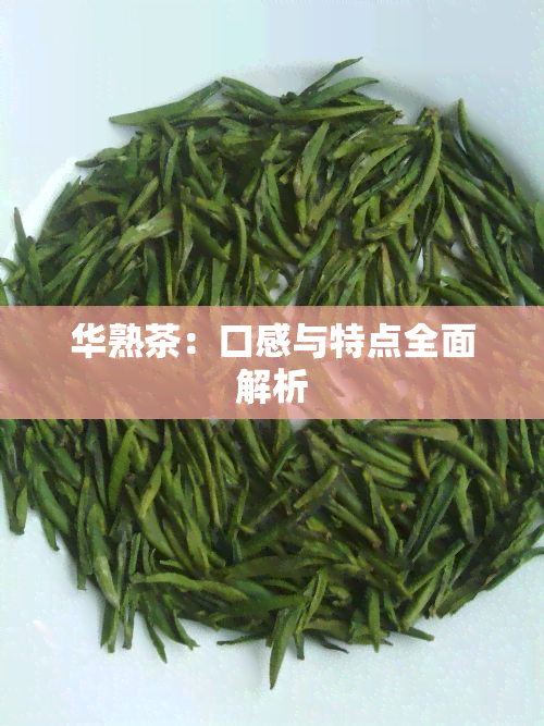 华熟茶：口感与特点全面解析