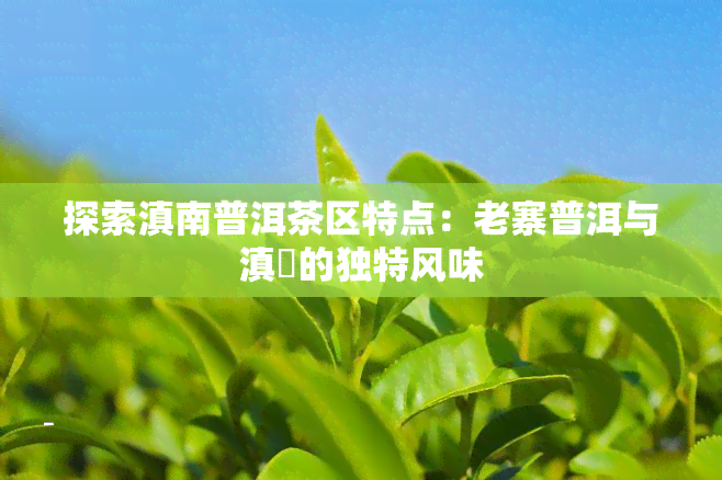 探索滇南普洱茶区特点：老寨普洱与滇垚的独特风味