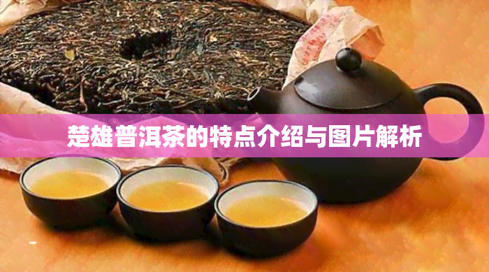 楚雄普洱茶的特点介绍与图片解析