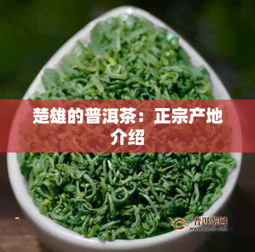 楚雄的普洱茶：正宗产地介绍