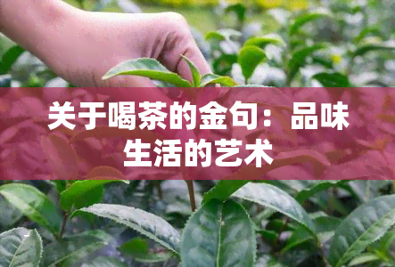 关于喝茶的金句：品味生活的艺术