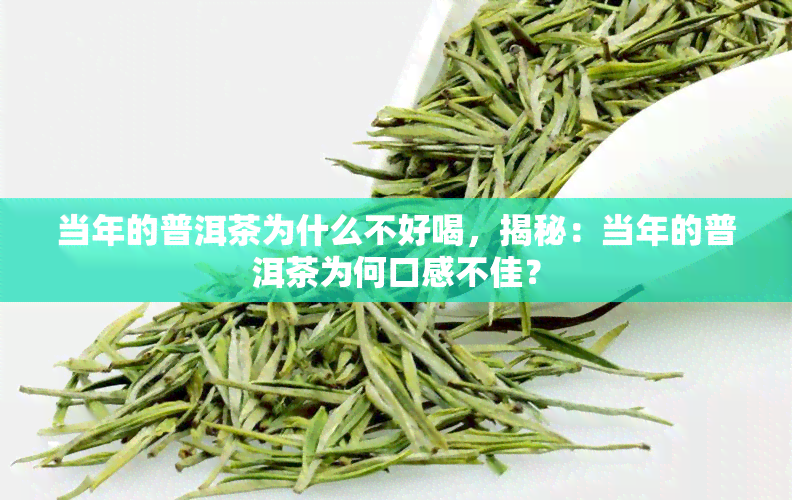 当年的普洱茶为什么不好喝，揭秘：当年的普洱茶为何口感不佳？