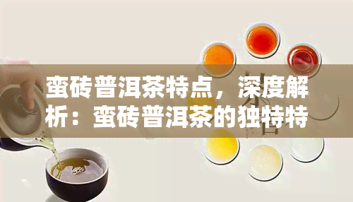 蛮砖普洱茶特点，深度解析：蛮砖普洱茶的独特特点与魅力