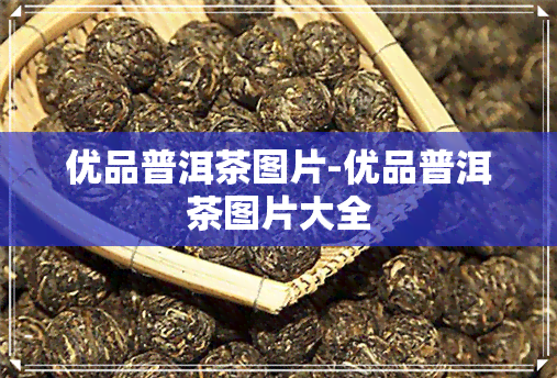 优品普洱茶图片-优品普洱茶图片大全