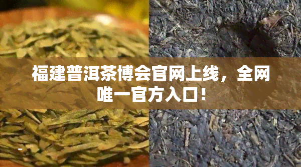 福建普洱茶博会官网上线，全网唯一官方入口！