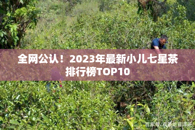 全网公认！2023年最新小儿七星茶排行榜TOP10