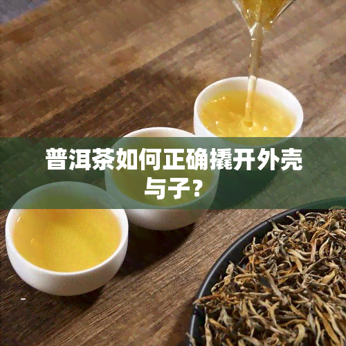 普洱茶如何正确撬开外壳与子？