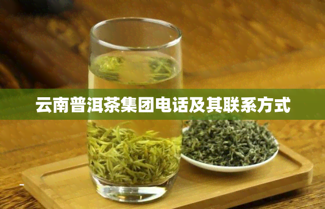 云南普洱茶集团电话及其联系方式