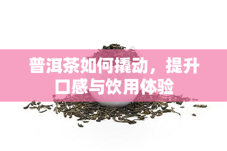 普洱茶如何撬动，提升口感与饮用体验