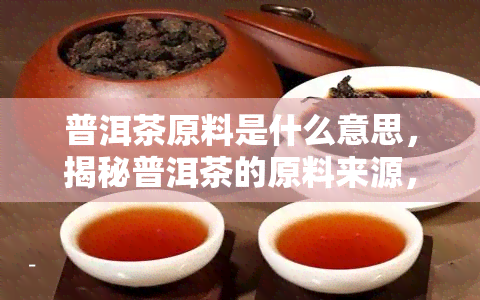 普洱茶原料是什么意思，揭秘普洱茶的原料来源，你了解吗？