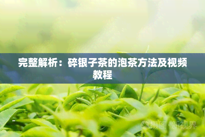 完整解析：碎银子茶的泡茶方法及视频教程