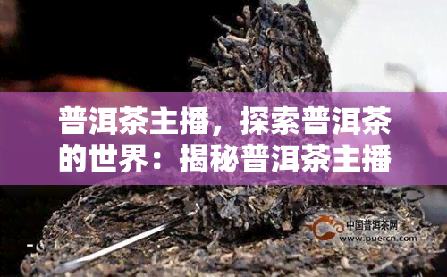 普洱茶主播，探索普洱茶的世界：揭秘普洱茶主播的职业生涯与市场趋势