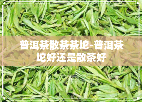 普洱茶散茶茶坨-普洱茶坨好还是散茶好