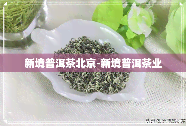 新境普洱茶北京-新境普洱茶业