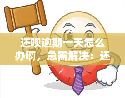 还呗逾期一天怎么办啊，急需解决：还呗逾期一天，我该怎么办？