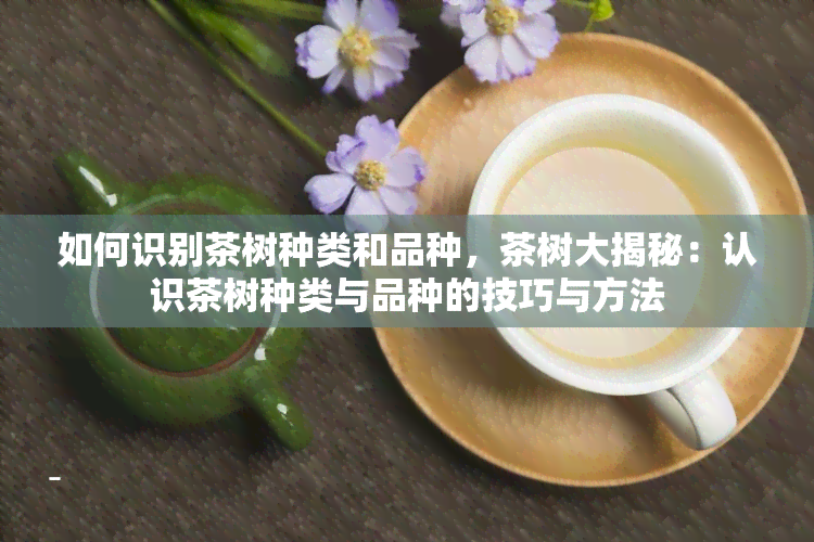 如何识别茶树种类和品种，茶树大揭秘：认识茶树种类与品种的技巧与方法