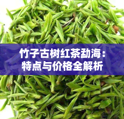 竹子古树红茶勐海：特点与价格全解析